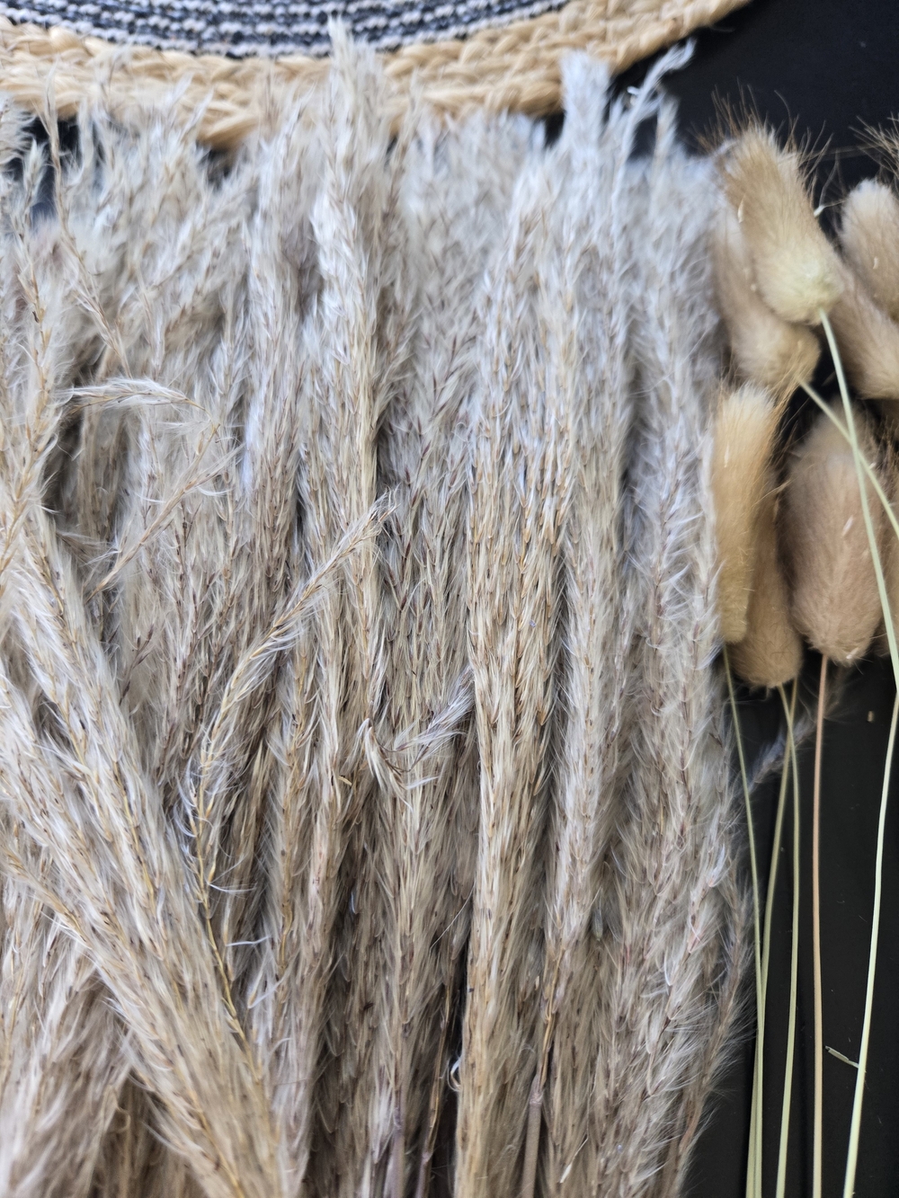 Natural Dried Pampas Grass Bundle - Neutral Tones - Picture 5 of 5